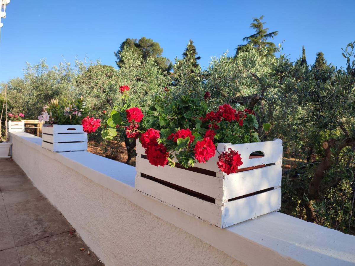 Vila Porta Sugli Ulivi Monopoli Exteriér fotografie